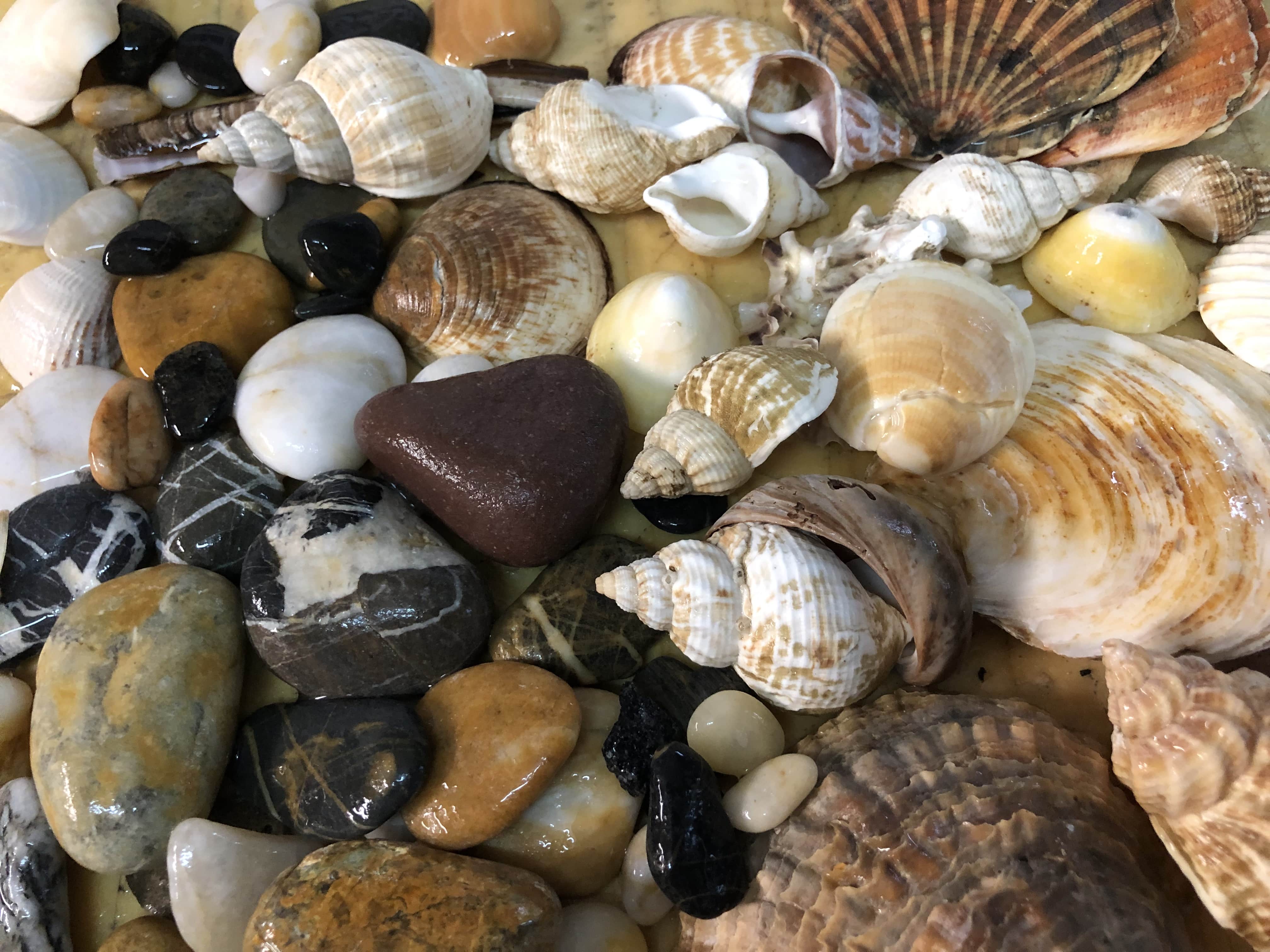 Matériaux d'atelier — 10